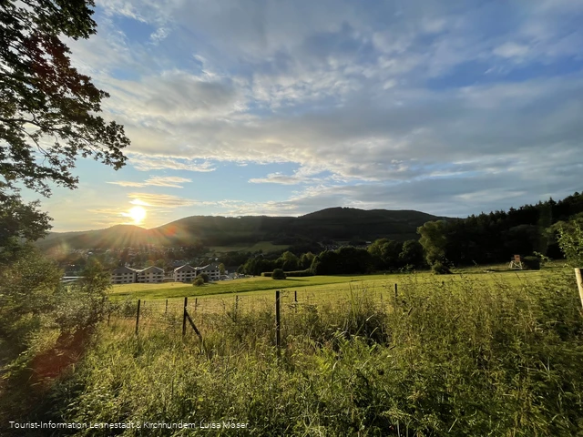 Blick auf Lennestadt