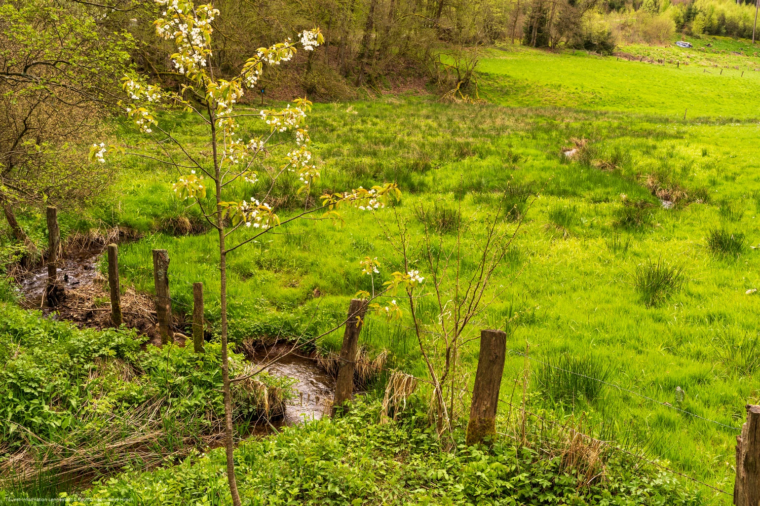 Flussverlauf Lütke Aa