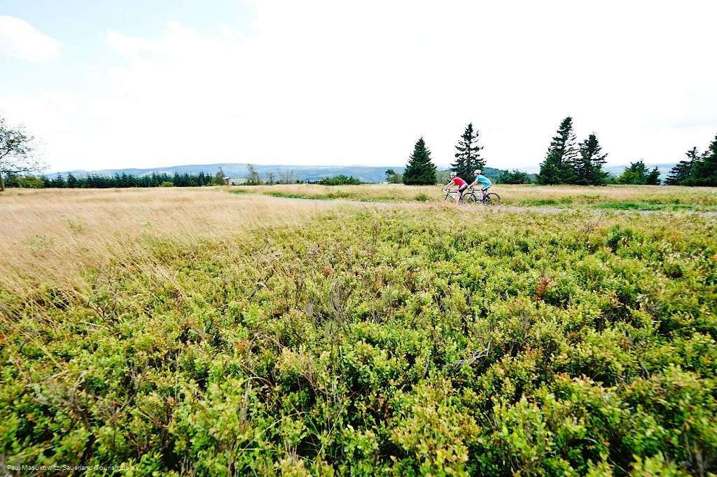 In der Hochheide-Landschaft des Kahlen Astens