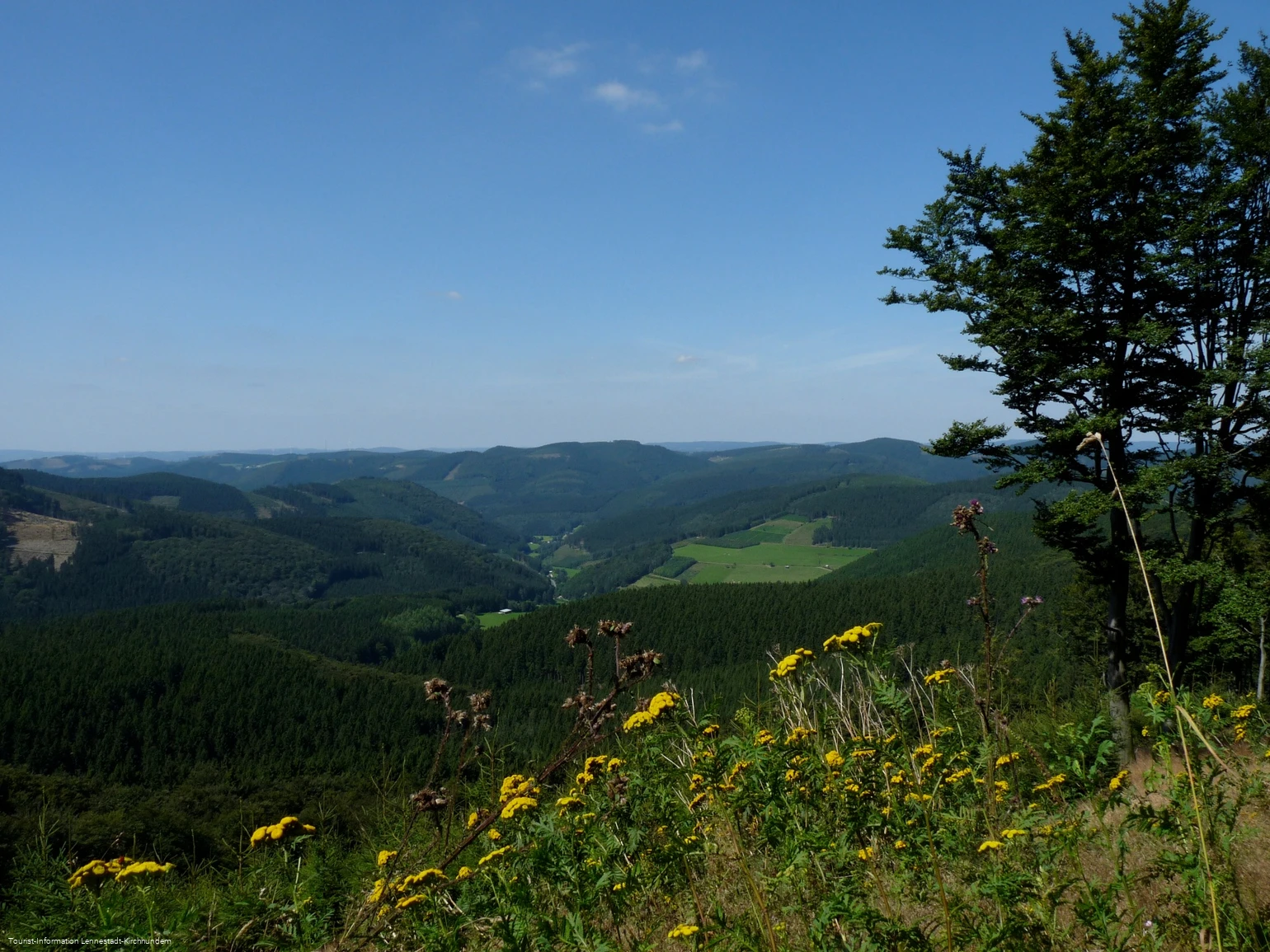 Wanderung Rund um den Härdler