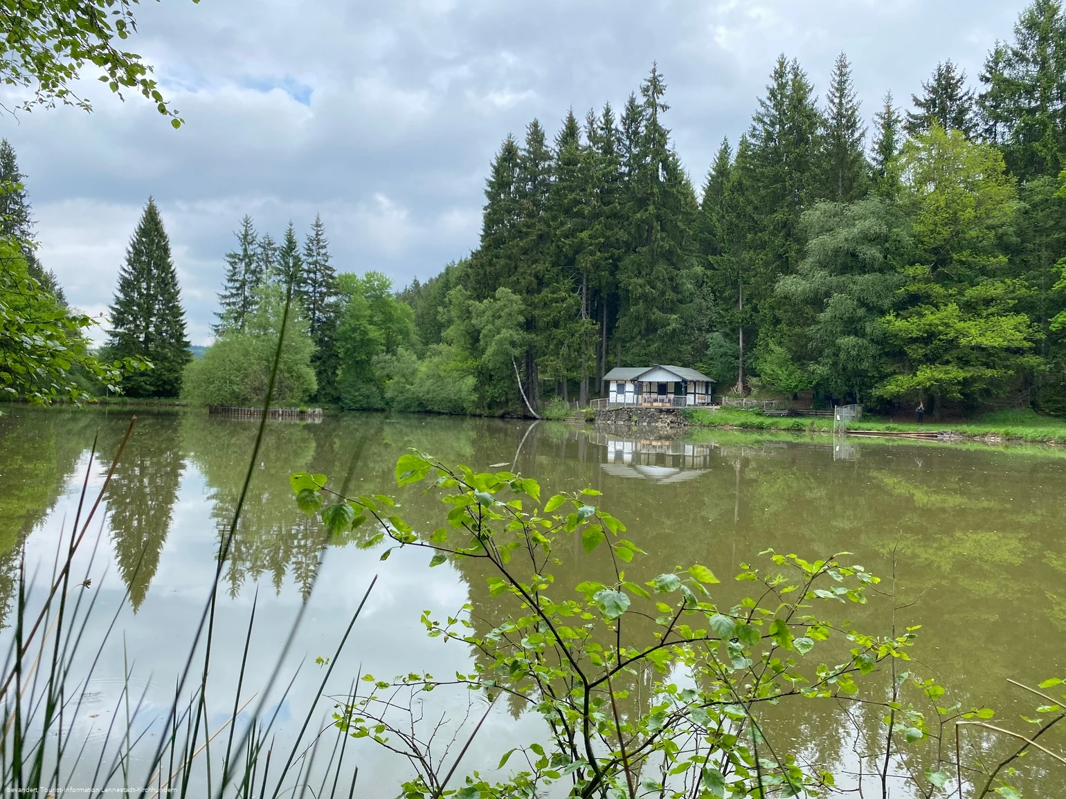 Hütte am Dollenbruch