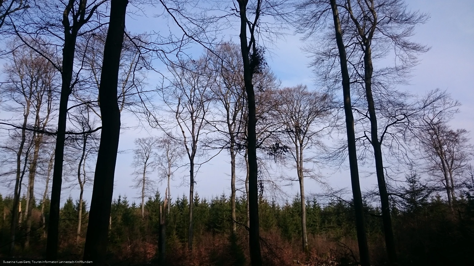 FFH Gebiet Apollmicke-Einsiedelei