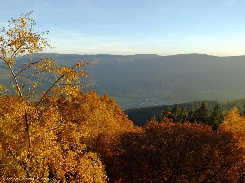 Blick vom Rinsley-Felsen