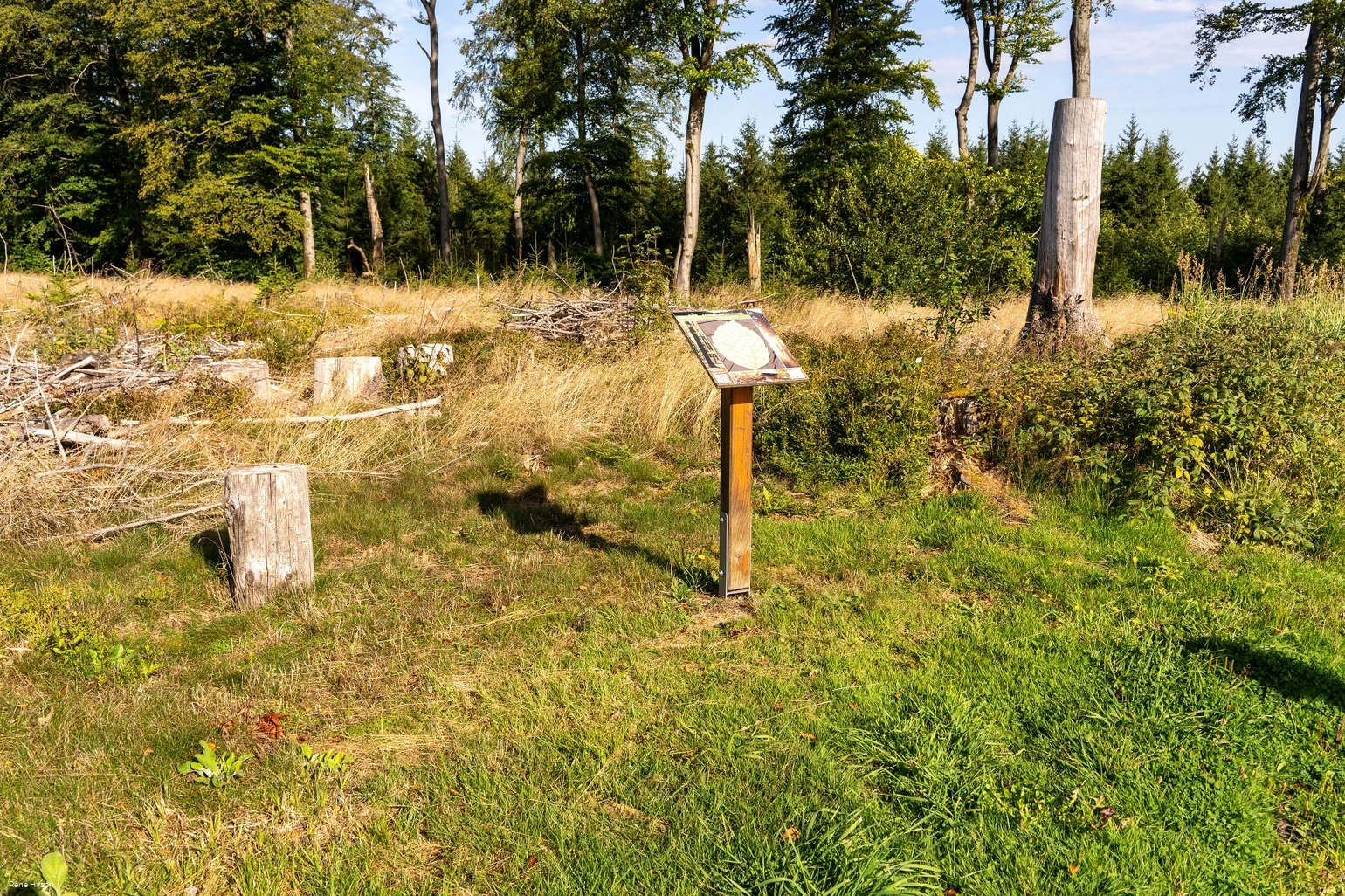 Verweil-Ort Vergehen und Entstehen