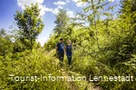 Wanderer auf dem Veischeder Sonnenpfad an der Hohen Bracht