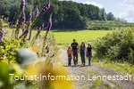 Familie wandert auf Wanderweg zwischen bunt blühenden Blumen und Wiesen.