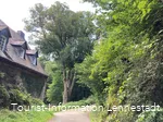 Burg Bilstein Turm Außenmauer2©Tourist-Information Lennestadt & Kirchhundem, Viola Japes.jpg